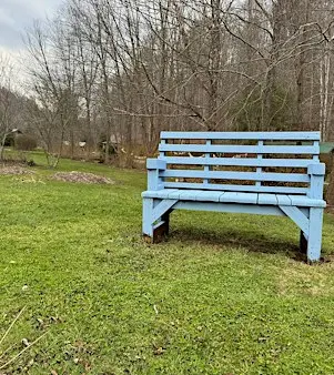 A Quiet Day: Rest & Restore Before Winter