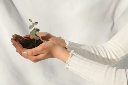 Sustainability Day  at Pasadena Community Centre
