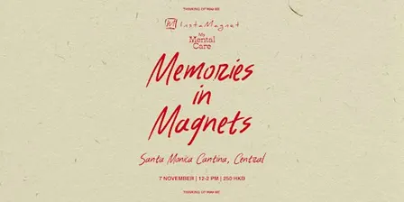 Memories in Magnets