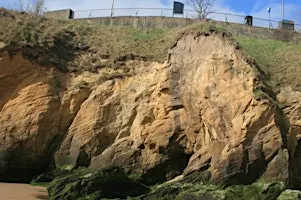 Geology at Cullercoats