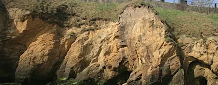 Geology at Cullercoats