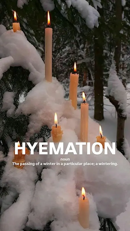Hyemation • a micro retreat at the onset of deep winter