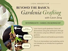 Beyond the Basics - Gardenia Grafting with Calvin Zeng