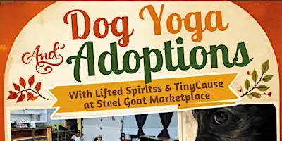 Dog Yoga & Adoptions