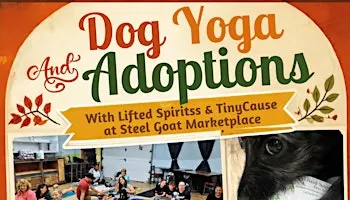 Dog Yoga & Adoptions