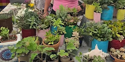 Plant Bingo