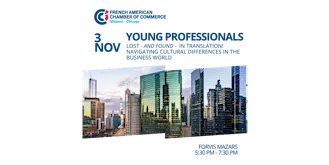 Young Professionals: Lost - and Found - in Translation
