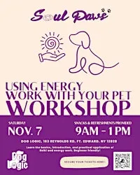 Using Energy Work with Your Pet