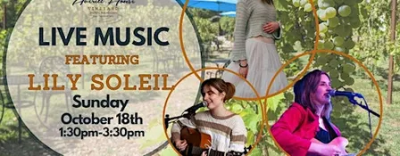 Harvest Harmony: Lily Soleil & Jiggery Pokery Live