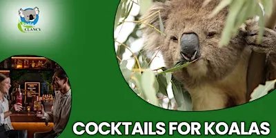 Cocktails for Koalas: An Evening at Bar Clara