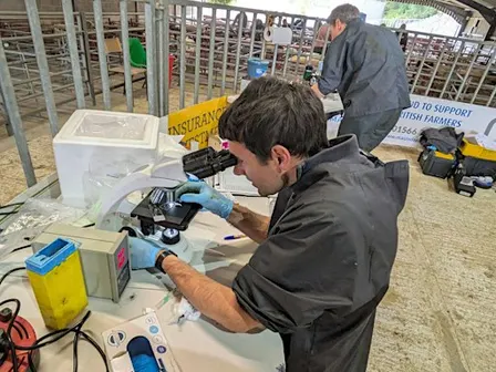 Beyond the Bounce: The Ram Testing Results