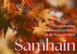 Samhain in the Orchard: An Enchanting Halloween Experience