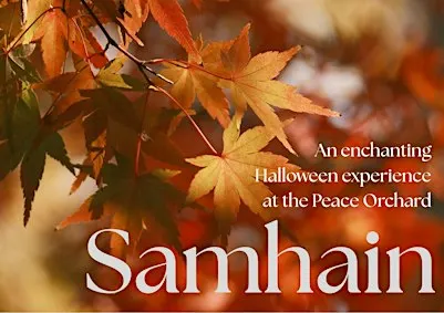 Samhain in the Orchard: An Enchanting Halloween Experience