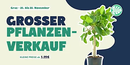 Großer Pflanzenverkauf - Graz