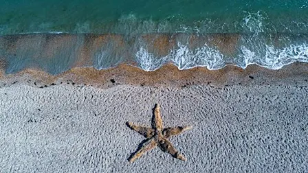 Between Land and Tide