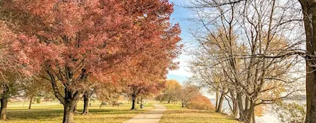 Love Your Park! - Volunteer Friday