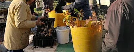 Preparing for Tree Planting season at Dartington Tree Nursery