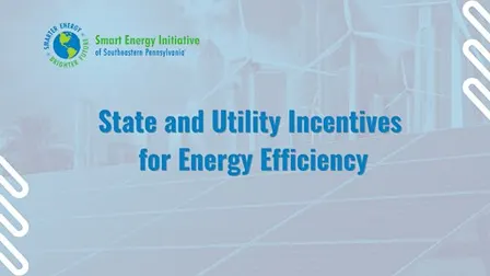State and Utility Incentives for Energy Efficiency