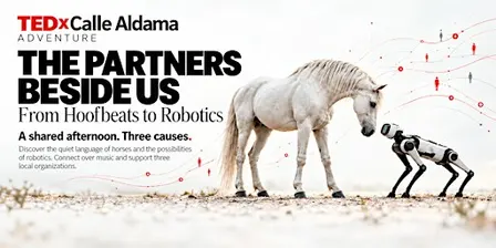 TEDxCalle Aldama Adventure: Partners Beside Us