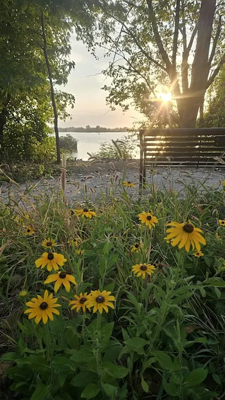 Love Your Park! - Volunteer Saturday