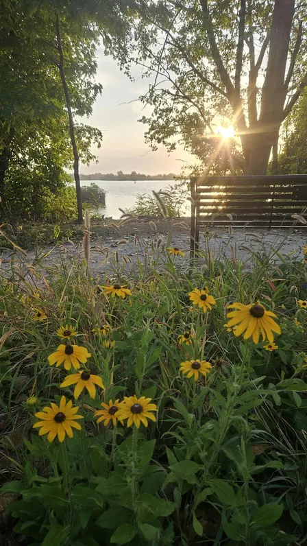 Love Your Park! - Volunteer Saturday
