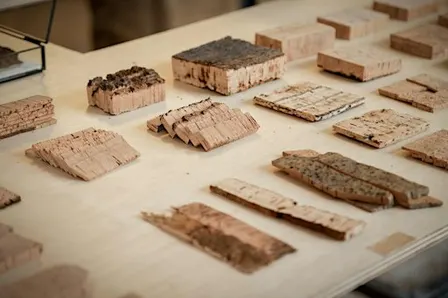 Visita Exposición Iberoamérica y Carabanchel. Diálogos desde el diseño.