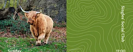Social Hike | Woodland, Cows & Conversations | Rochester | Medway | Kent