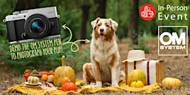 BYOD "Bring Your Own Dog" OM System PEN Touch & Try