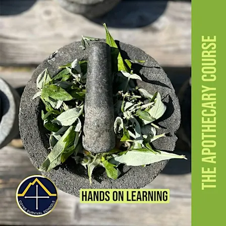 The Apothecary Course