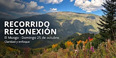 Recorrrido Reconexión: Hike  & Mindfulness