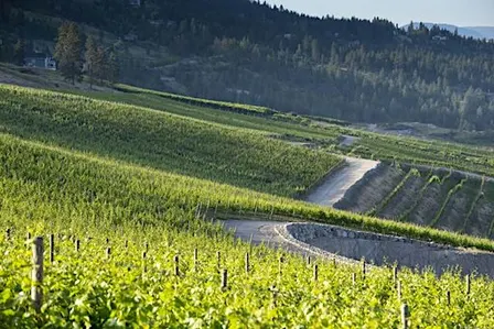 Peak Cellars