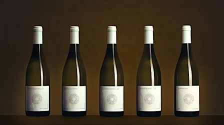 An Exclusive Grand Cru Burgundy Event at Wing Hop Fung!