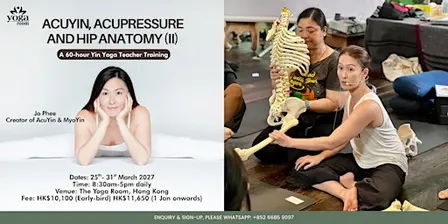 AcuYin, Acupressure and Hip Anatomy (II)