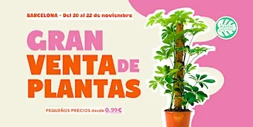 Gran Venta de Plantas - Barcelona