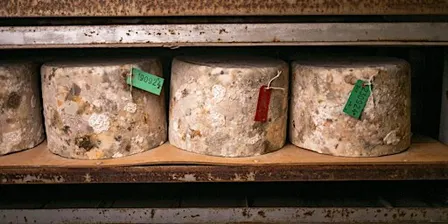 Quicke's Cheese Tour 18th June 2027