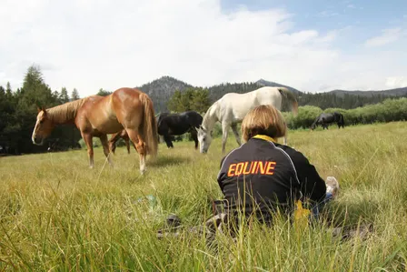 Equine Career Night 2026