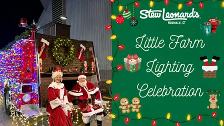 Little Farm Lighting Celebration