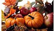 Fall Harvest Wine Tasting & Cheese Pairing Class