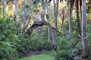 Special Access Guided Hike