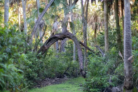 Special Access Guided Hike