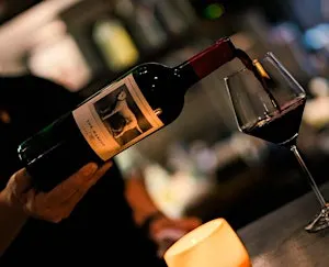 The Mascot by Harlan Estate Vintage Tasting