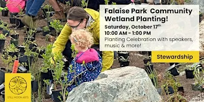 Falaise Park Community Wetland Planting