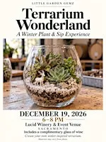 Plant & Sip Experience | Sacramento Night Out: Terrarium Wonderland
