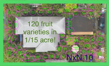 High Density Urban Agroforestry