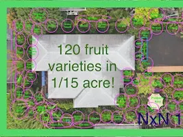 High Density Urban Agroforestry