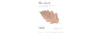 The Ritual #3 — a monthly wellbeing gathering November Edition