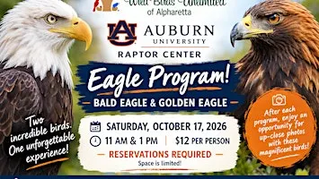 Bald Eagle and Birds of Prey