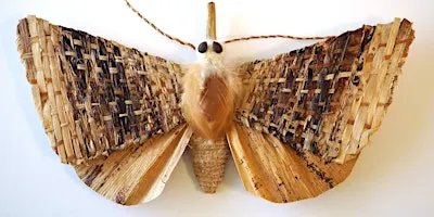 Learn about native moths from an expert!