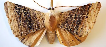 Learn about native moths from an expert!