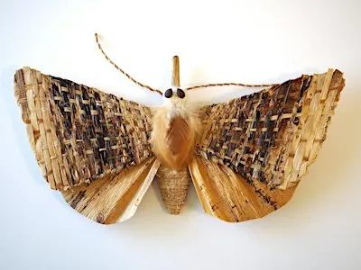 Learn about native moths from an expert!